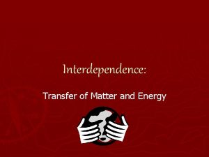Interdependence Transfer of Matter and Energy Living Earth