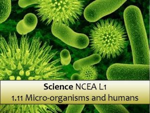 Science NCEA L 1 1 11 Microorganisms and