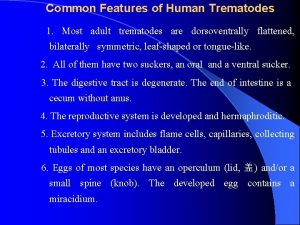 Common Features of Human Trematodes 1 Most adult