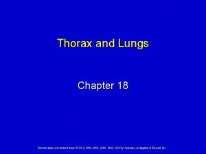 Thorax and Lungs Chapter 18 Elsevier items and