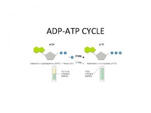 ADPATP CYCLE ATP structure Adenosine triphosphate ATP is