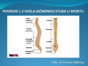 POVREDE LS DIJELA KIMENOG STUBA U SPORTU Prim