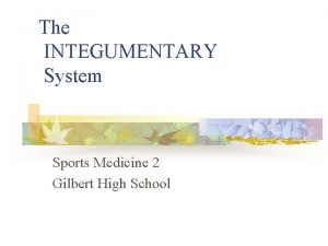 The INTEGUMENTARY System Sports Medicine 2 Gilbert High