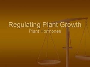 Regulating Plant Growth Plant Hormones Plant Hormones n