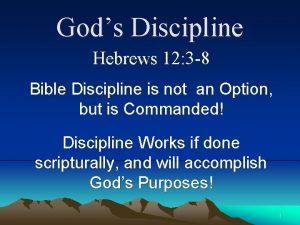 Gods Discipline Hebrews 12 3 8 Bible Discipline