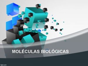 MOLCULAS BIOLGICAS MOLCULAS BIOLGICAS Molculas biolgicas Constituidas principalmente