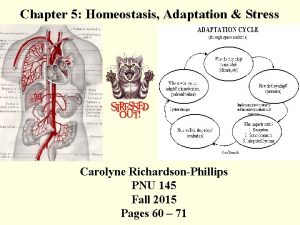 Chapter 5 Homeostasis Adaptation Stress Carolyne RichardsonPhillips PNU