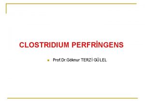 CLOSTRIDIUM PERFRNGENS n Prof Dr Gknur TERZ GLEL