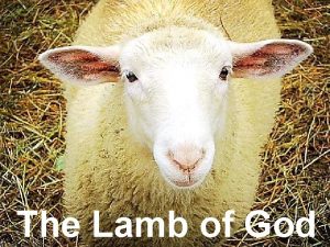 The Lamb of God Note Any videos in