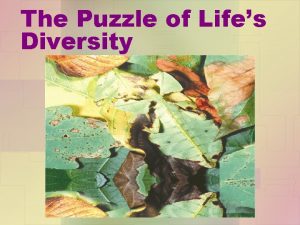 The Puzzle of Lifes Diversity Objectives 1 What