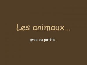 Les animaux gros ou petits Un cheval des