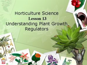 Horticulture Science Lesson 13 Understanding Plant Growth Regulators