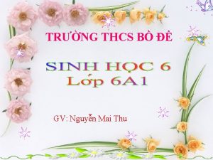 TRNG THCS B GV Nguyn Mai Thu KIM