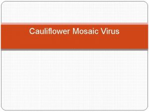 Cauliflower Mosaic Virus Plant Viruses Plant viruses are