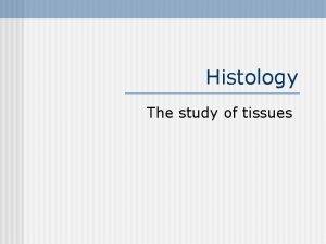 Histology The study of tissues Tissue A group