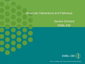 12272021 Master title Molecular Interactions and Pathways 5