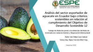 Anlisis del sector exportador de aguacate en Ecuador