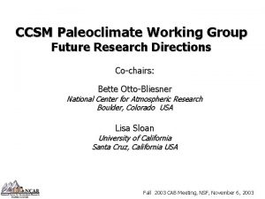 CCSM Paleoclimate Working Group Future Research Directions Cochairs
