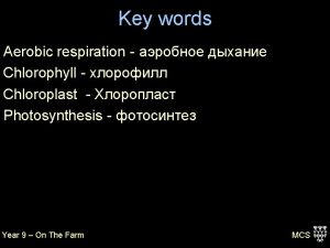 Key words Aerobic respiration Chlorophyll Chloroplast Photosynthesis Year