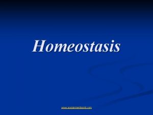 Homeostasis www assignmentpoint com Glossary Maintain keep up