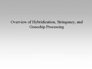 Overview of Hybridization Stringency and Genechip Processing Genechip