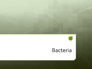Bacteria What is Bacteria Bacteria are single cell