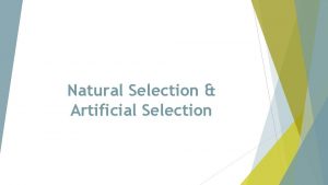 Natural Selection Artificial Selection Natural Selection VS Artificial