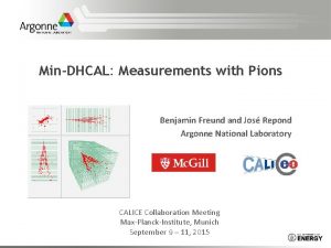 MinDHCAL Measurements with Pions Benjamin Freund and Jos