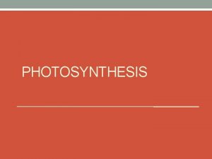 PHOTOSYNTHESIS ENERGY AND LIFE Autotrophs and Heterotrophs Autotrophs