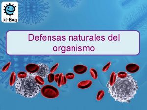 Defensas naturales del organismo Defensas naturales del organismo
