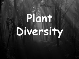 Plant Diversity What Is A Plant Multicellular eukaryotes