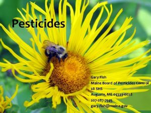 Pesticides Gary Fish Maine Board of Pesticides Control