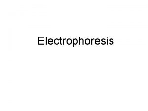 Electrophoresis Electrophoresis A process that is used to