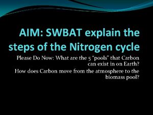 AIM SWBAT explain the steps of the Nitrogen