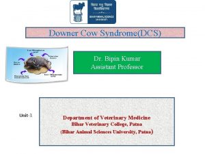 Downer Cow SyndromeDCS Dr Bipin Kumar Assistant Professor