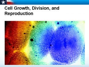 Cell Growth Division and Reproduction Learning Objectives Describe