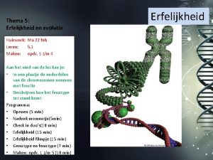 Thema 5 Erfelijkheid en evolutie Huiswerk Ma 22