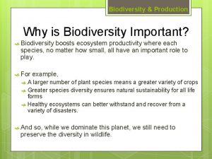 Biodiversity Production Why is Biodiversity Important Biodiversity boosts