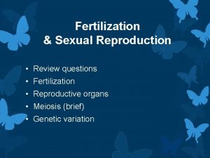 Fertilization Sexual Reproduction Review questions Fertilization Reproductive organs