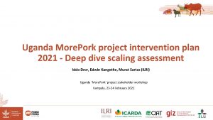 Uganda More Pork project intervention plan 2021 Deep