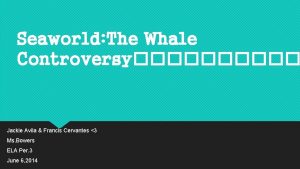 Seaworld The Whale Controversy Jackie Avila Francis Cervantes