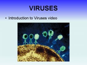 VIRUSES Introduction to Viruses video VIRUSES The Beginnings