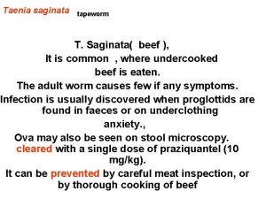 Taenia saginata tapeworm T Saginata beef It is