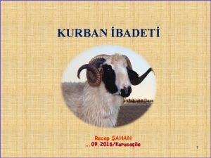 KURBAN BADET Recep AHAN 09 2016Kurucaile 1 phesiz