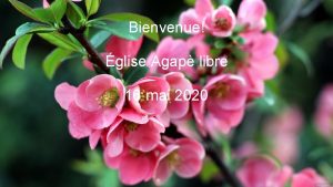 Bienvenue glise Agap libre 16 mai 2020 Bienvenue