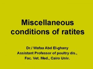 Miscellaneous conditions of ratites Dr Wafaa Abd Elghany