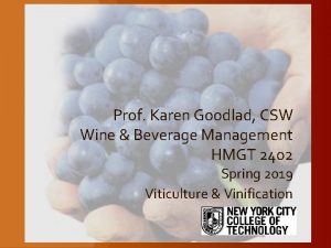 Prof Karen Goodlad CSW Wine Beverage Management HMGT