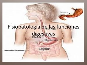 Fisiopatologa de las funciones digestivas FUNCIONES DEL TRACTO