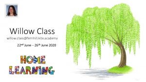 Willow Class willow classfernhill kite academy 22 nd