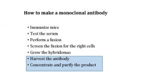 How to make a monoclonal antibody Immunize mice